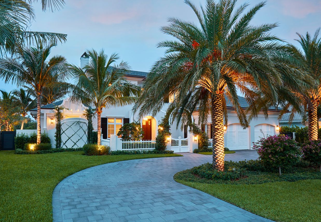 A driveway with palm trees and bushes around it.