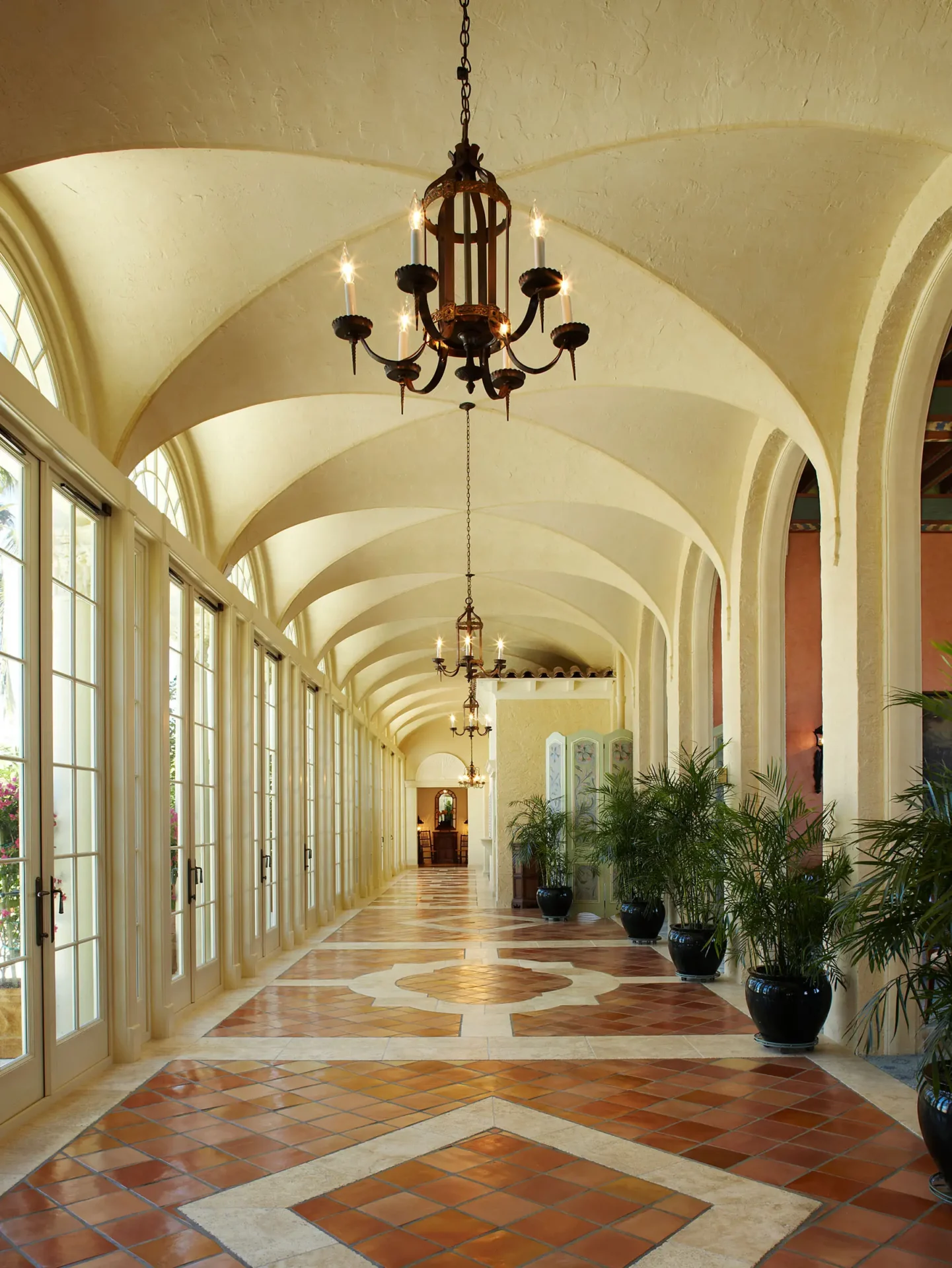 A long hallway with potted plants and large windows.