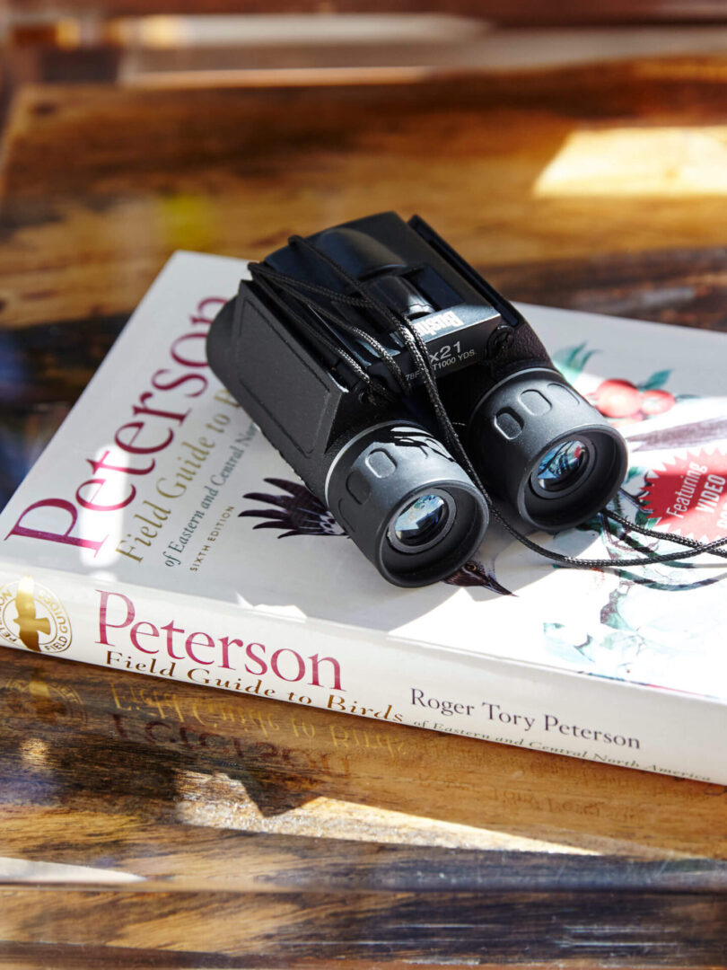 A pair of binoculars sitting on top of a book.