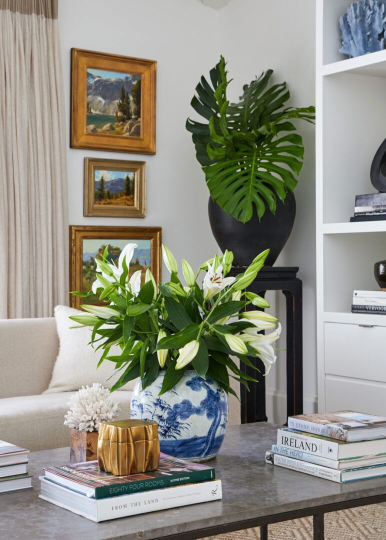 A living room with white walls and a large plant.