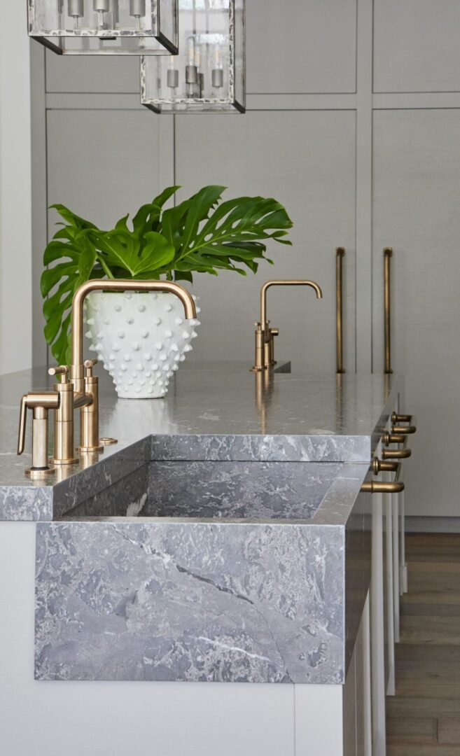 A marble sink with gold faucets and a plant in the middle.